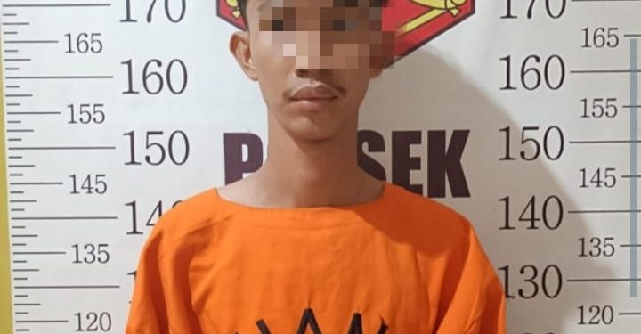 Setubuhi Anak Dibawah Umur, MI Ditangkap Polisi