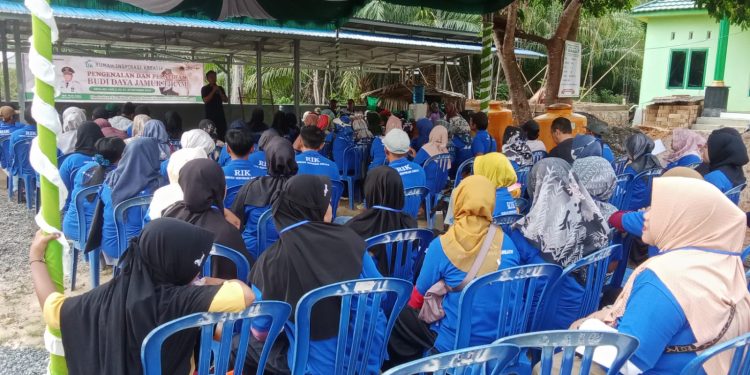 RIK Gelar Pelatihan Budidaya Jamur Tiram di Desa Selaselilau