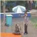 Masyaa Alloh, Guru Ini Masbuk Sholat Zuhur, Hujan Turun di Rakaat Terakhirnya, Gercep Satpam Ini Dipuji Nitizen