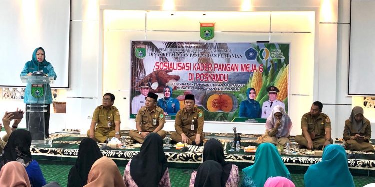 150 Kader Pangan di Tanah Bumbu Ikuti Sosialisasi Meja Enam Posyandu
