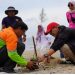 Aksi Bersih-bersih di Pesisir Pantai Pagatan dan Tanam Pohon
