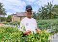 Kelompok Tani Sekar Rahayu, Distribusikan Sayur ke Seluruh Pasar Lokal di Tanah Bumbu