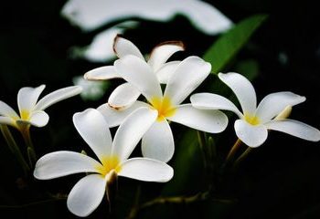 Pesan di WA nya Bikin Hati Ortu Hancur, Gadis di Bawah Umur di Tanbu Ini Nekad Kabur Bersama Pacar ke Pulau Dewata
