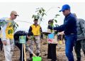 KLHK Tanam Ribuan Pohon untuk Pembangunan 560 hektare Hutan Kota di Tanah Bumbu