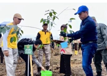 KLHK Tanam Ribuan Pohon untuk Pembangunan 560 hektare Hutan Kota di Tanah Bumbu