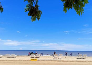 Muncul Teror Kawanan Buaya, Wisatawan Batakan Baru Dilarang Berenang di Pantai