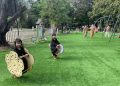 Gratis, Ini Pesona Taman Bermain Rumput Sintetis di Banjarmasin yang Instagramable Banget