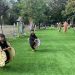 Gratis, Ini Pesona Taman Bermain Rumput Sintetis di Banjarmasin yang Instagramable Banget