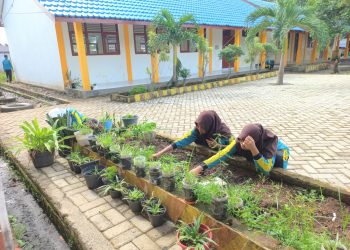 SMPN 2 Kusan Hulu Menuju Sekolah Adiwiyata Kalsel