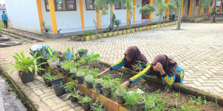 SMPN 2 Kusan Hulu Menuju Sekolah Adiwiyata Kalsel