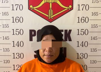Seorang Perempuan Berinisial NOR Diamankan Polsek Satui