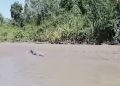 Teror Buaya di Banjarmasin Meluas Sampai ke Batola, Suasana Pinggiran Sungai pun Berubah