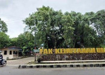 Hilang di Hutan Kapuas, Lebih Sepekan Mahasiswa Unlam Ini belum Ditemukan Pencarian pun Diperpanjang