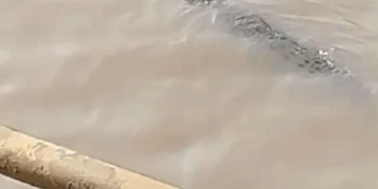 Teror Buaya Berlanjut? Setelah di Pelambuan, Dikabarkan Muncul Lagi di Kawasan Banjarmasin Selatan, Disini Tepatnya