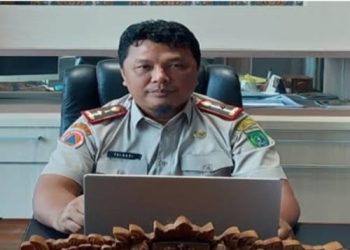 Kepala BPBD Tanah Bumbu Sulhadi Tinjau Lokasi Banjir di Satui