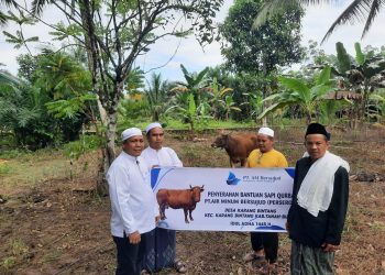 Idul Adha 1445 H, PT.Air Minum Bersujud Sumbang 2 Ekor Hewan Qurban