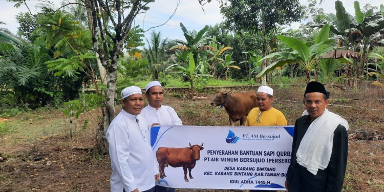 Idul Adha 1445 H, PT.Air Minum Bersujud Sumbang 2 Ekor Hewan Qurban
