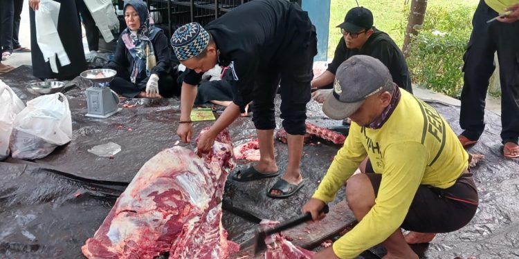 Petugas Kebersihan Kantor Bupati Tanah Bumbu Berkurban Delapan Ekor Sapi