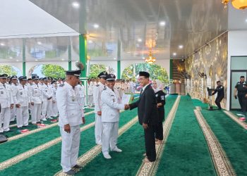 Resmi, Jabatan Kepala Desa 8 Tahun