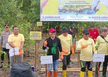 Peringati Hari Lingkungan, DigelarGerakan Tanam Mangrove di Desa Muara Pagatan