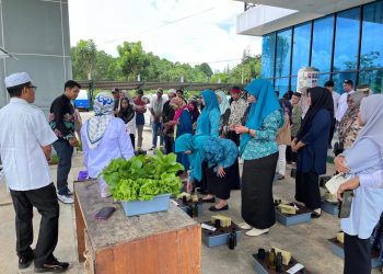 Dispersip Tanah Bumbu Adakan Pelatihan Budidaya Hydroponik