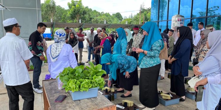 Dispersip Tanah Bumbu Adakan Pelatihan Budidaya Hydroponik