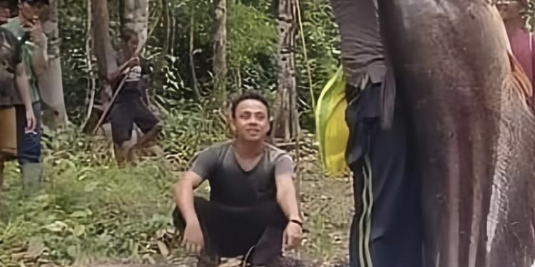 Dedengkot Ikan Sungai di Kalimantan Ditemukan Sebesar Manusia Berdiri, Nitizen Ngaku Ngeri Lihatnya