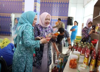TP PKK Tanah Bumbu Kaji Tiru 10 Program PKK Kota Batam