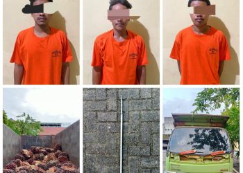 Reskrim Polsek Simpang Empat Tangkap Pencuri Sawit Milik PT JAR