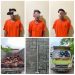 Reskrim Polsek Simpang Empat Tangkap Pencuri Sawit Milik PT JAR