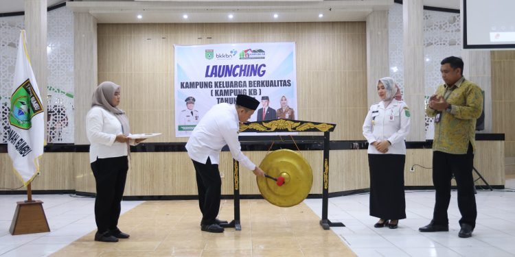Wakili Bupati Tanah Bumbu, Eryanto Rais Launching Kampung KB 2024