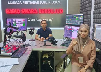 BKPSDM Tanah Bumbu Sosialisasikan SILPA bagi ASN
