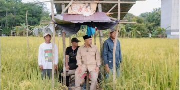 Bahsanuddin Temui Petani di Empat Desa Batulicin, Janjikan Pembangunan Infrastruktur dan Ketahanan Pangan