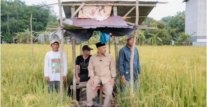 Bahsanuddin Temui Petani di Empat Desa Batulicin, Janjikan Pembangunan Infrastruktur dan Ketahanan Pangan