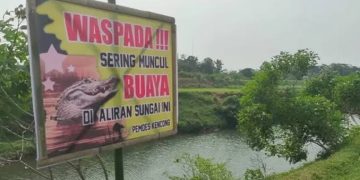 Gagal Menolong, Ramsiah pun Lunglai Menyaksikan Detik Tubuh Suaminya Diseret Buaya di Sungai