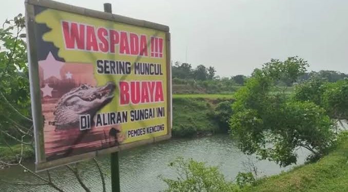 Gagal Menolong, Ramsiah pun Lunglai Menyaksikan Detik Tubuh Suaminya Diseret Buaya di Sungai
