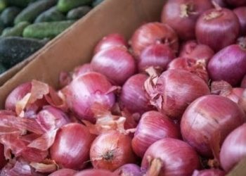 Naik Drastis, Bawang Merah di Banjarmasin Seharga Saat Musim Paceklik