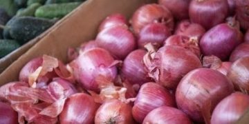 Naik Drastis, Bawang Merah di Banjarmasin Seharga Saat Musim Paceklik