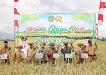 Bupati Zairullah Hadiri Panen Raya Padi di Desa Manurung