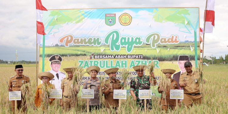 Bupati Zairullah Hadiri Panen Raya Padi di Desa Manurung