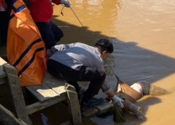 BPBD Tanah Bumbu Evakuasi Tiga Mayat Mengapung di Kusan Hilir
