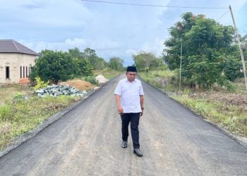 Jalan Plamboyan Desa Sepunggur Kini Mulus, Aspirasi Warga Terealisasi