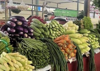 Harga Sayur Favorit Keluarga Ini di Banjarmasin Kenaikannya Capai Angka Tertinggi
