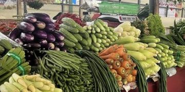Harga Sayur Favorit Keluarga Ini di Banjarmasin Kenaikannya Capai Angka Tertinggi
