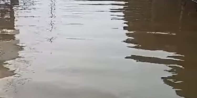 Sebulan Terendam Banjir, Warga Ini Telak Bandingkan Kepekaan Gubernur Sahbirin dan Muhidin