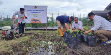 PWI Kalsel Luncurkan Kelompok Wartawan Menanam, Cabe Dijadikan Tanaman Utama di Kebun Wartawan
