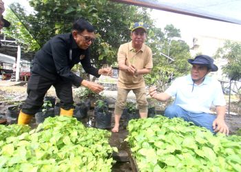 Ketua PWI Pusat Apresiasi Program Wartawan Menanam Dukung Ketahanan Pangan