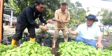 Ketua PWI Pusat Apresiasi Program Wartawan Menanam Dukung Ketahanan Pangan