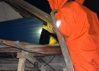 Petugas Damkar Simpang Empat Berhasil Evakuasi Sarang Tawon di Desa Kupang Berkah Jaya