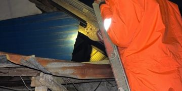 Petugas Damkar Simpang Empat Berhasil Evakuasi Sarang Tawon di Desa Kupang Berkah Jaya